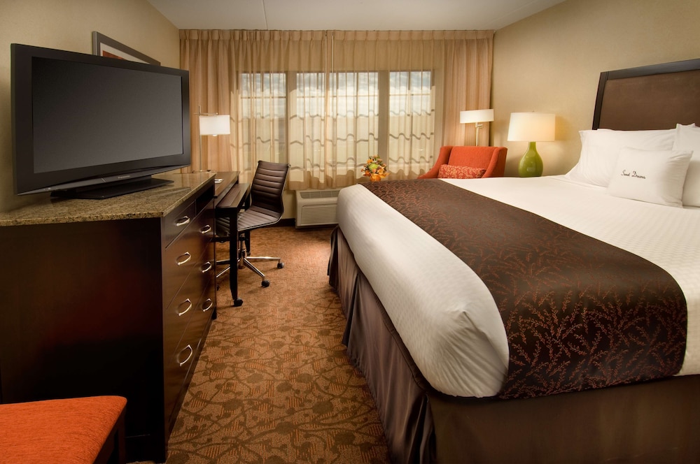 DoubleTree by Hilton Sterling Dulles Airport - photo 10