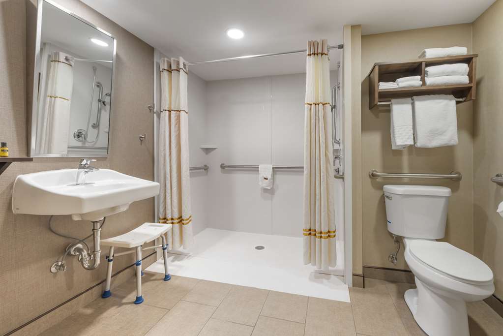 Best Western Plus Ramkota Hotel - photo 33