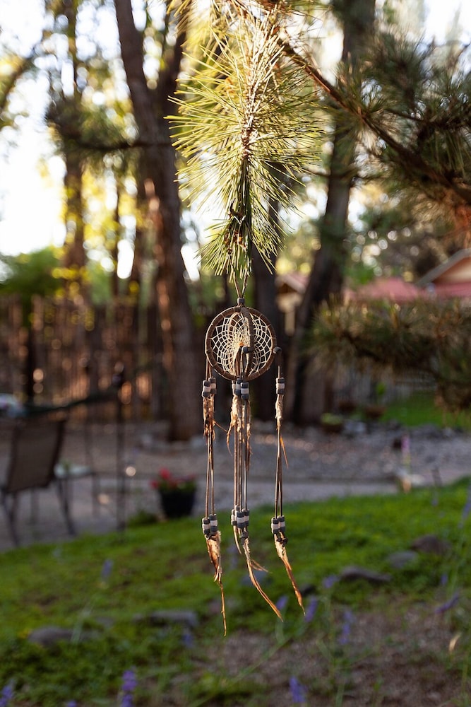Dreamcatcher Bed and Breakfast - photo 122
