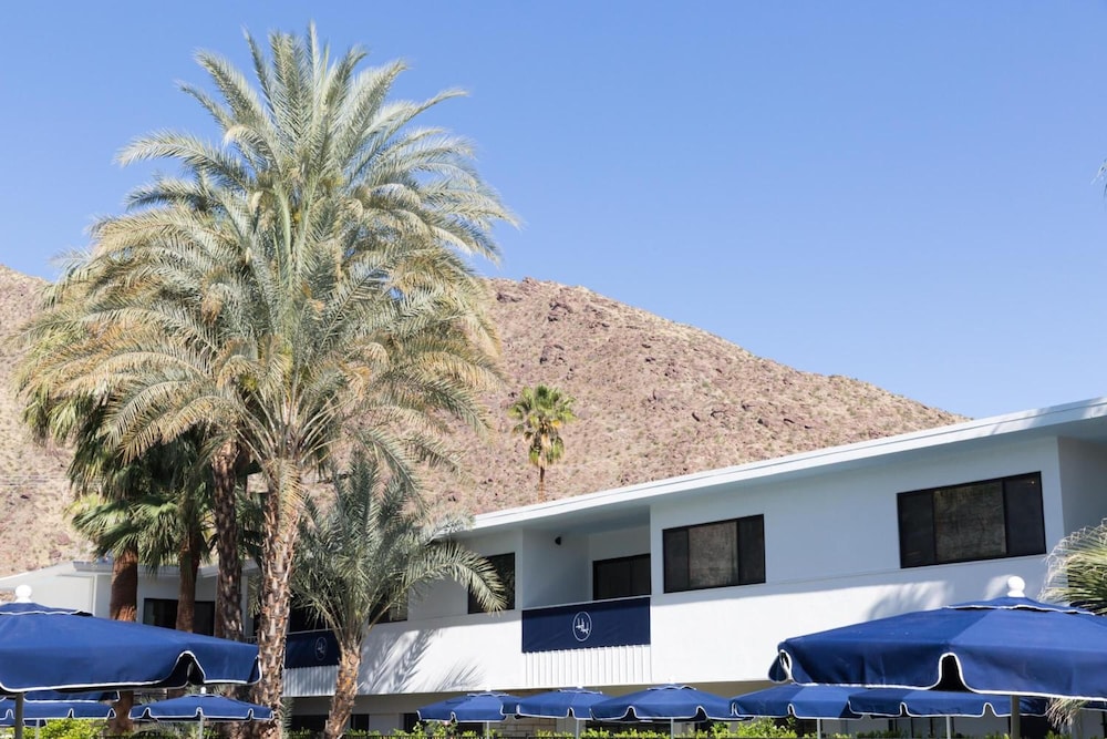 Holiday House Palm Springs - photo 55