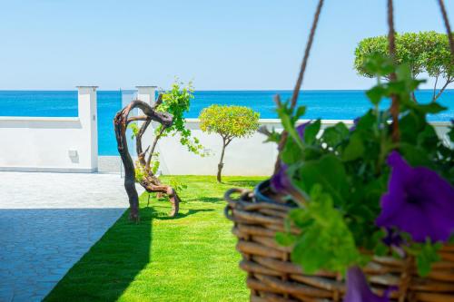 Mbaccimari B&B — 4-Star Luxury Hotel in Cetraro, Italy