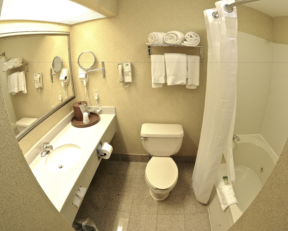 Holiday Inn Express & Suites St. Louis West Fenton by IHG - photo 37