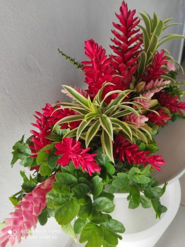 Espace Nature 97115 in Sainte-Rose, Guadeloupe