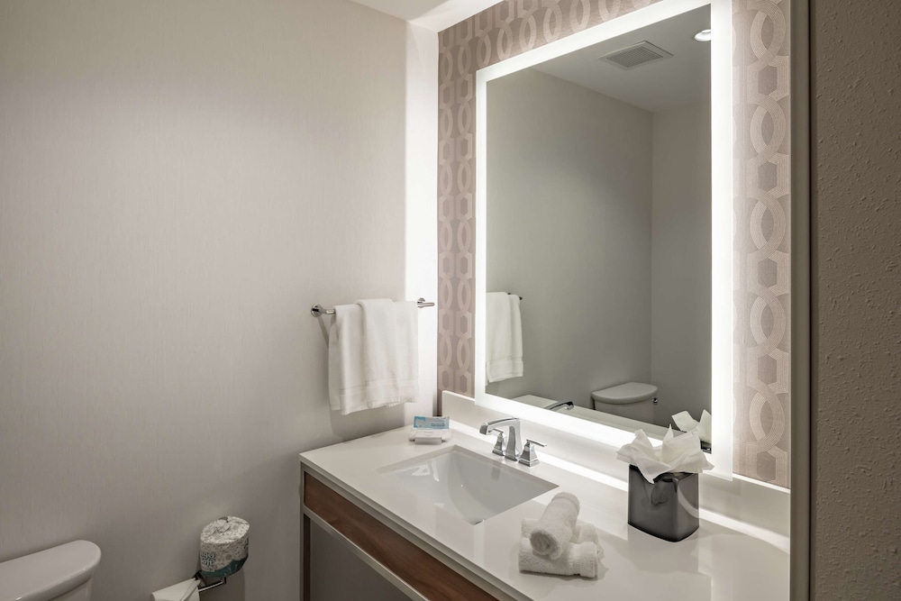 Hilton Garden Inn Dallas at Hurst Conference Center - photo 33