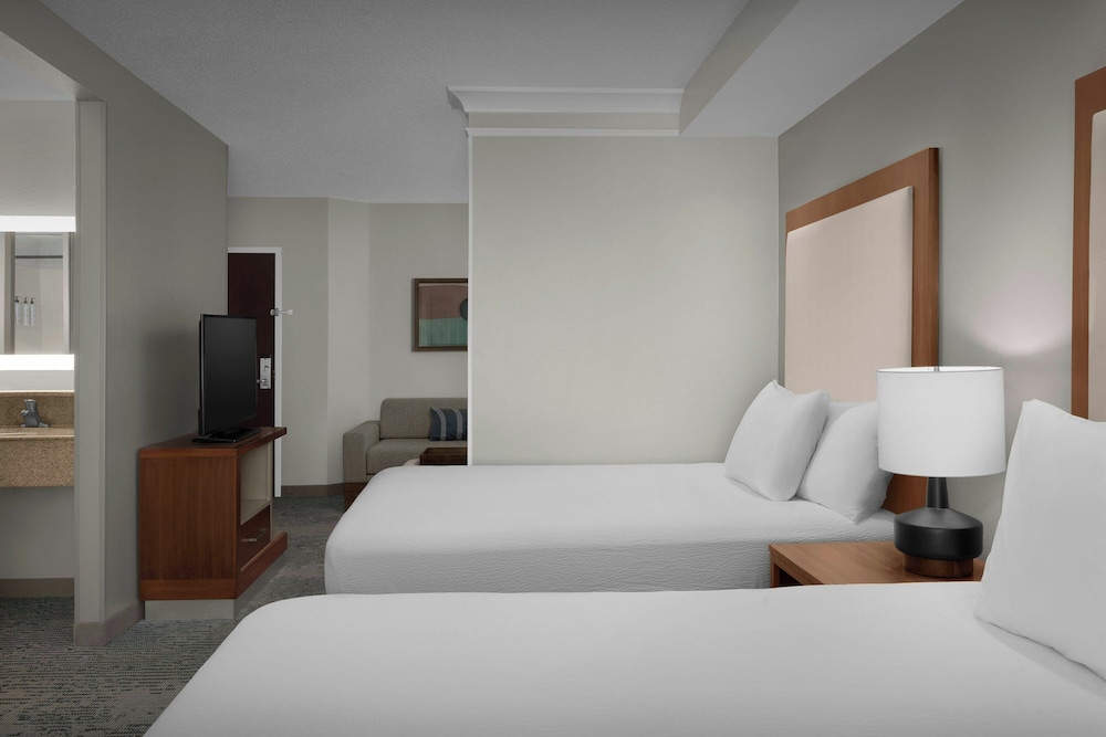 SpringHill Suites by Marriott Lynchburg Airport University Area - photo 8