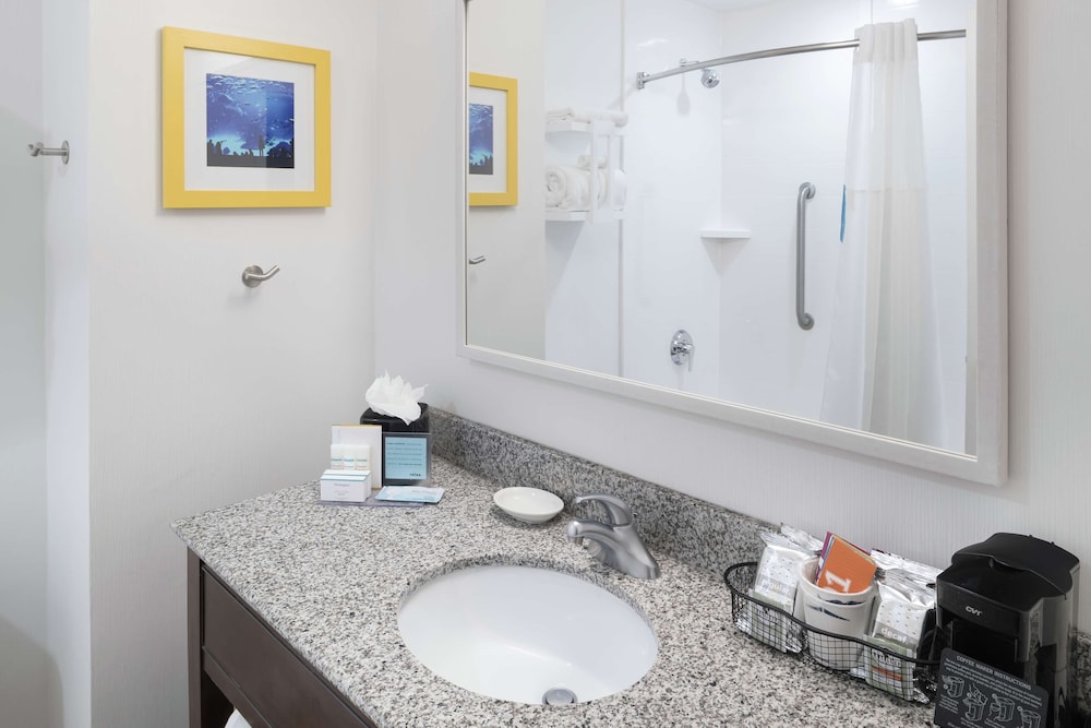 Hampton Inn & Suites Atlanta Downtown - photo 31