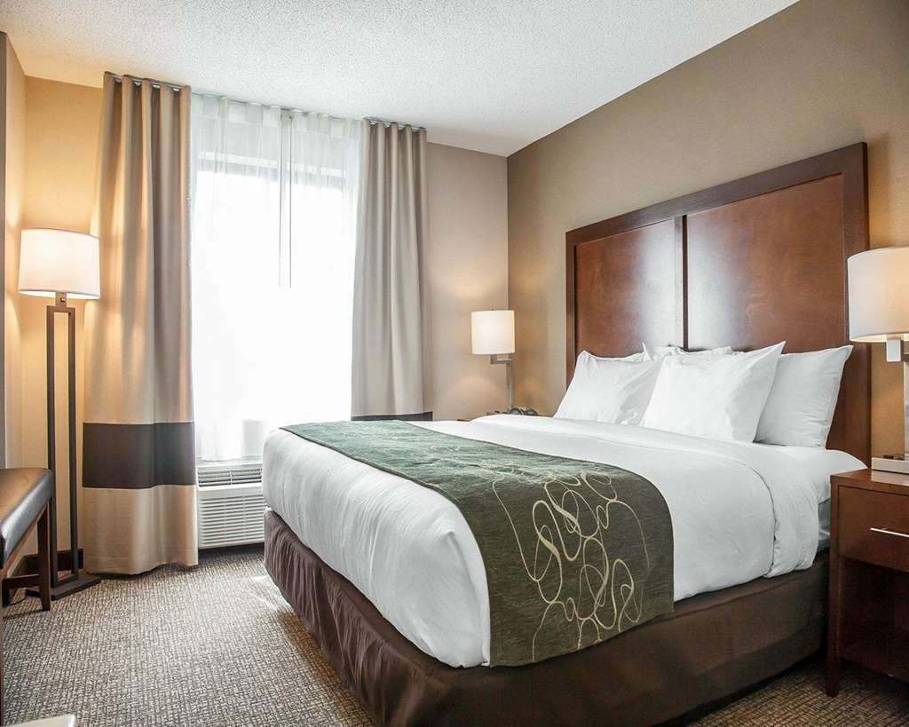 Comfort Suites West Warwick Providence - photo 27