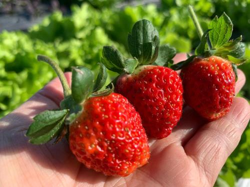 兆億申襄采民宿1741 Zhao Yì Shen Xiang Cai Homestay 1741 — 4-Star Luxury Hotel in Yilan, Republic of China Taiwan
