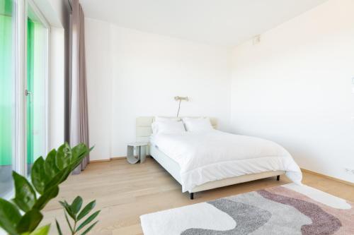 4bdr Modern and Stylish Apartment near Kadriorg with Free Parking