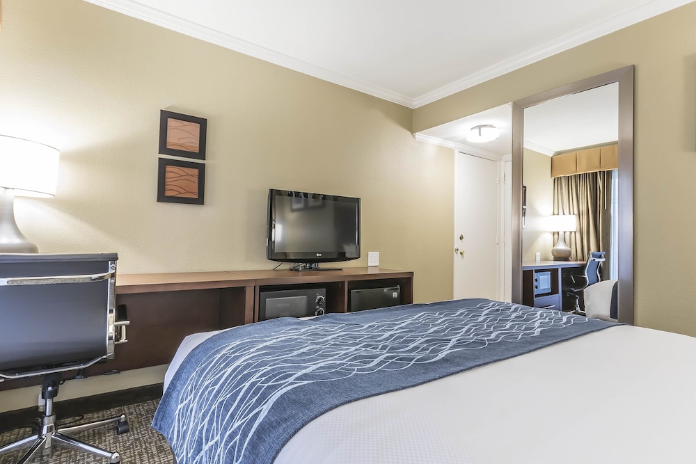 Comfort Inn Sunnyvale Silicon Valley - photo 7