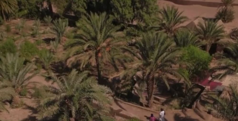 Sahara Source Vie in Mhamid, Morocco