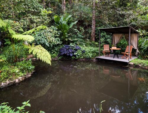 Terramaga Glamping in San Francisco, Colombia