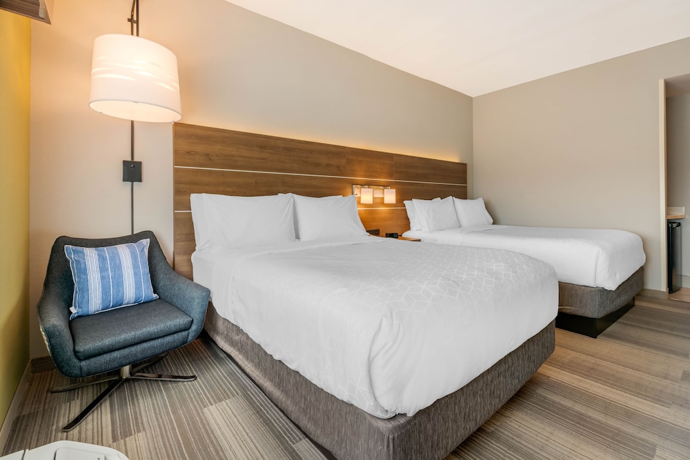 Holiday Inn Express & Suites Ruskin by IHG - photo 6