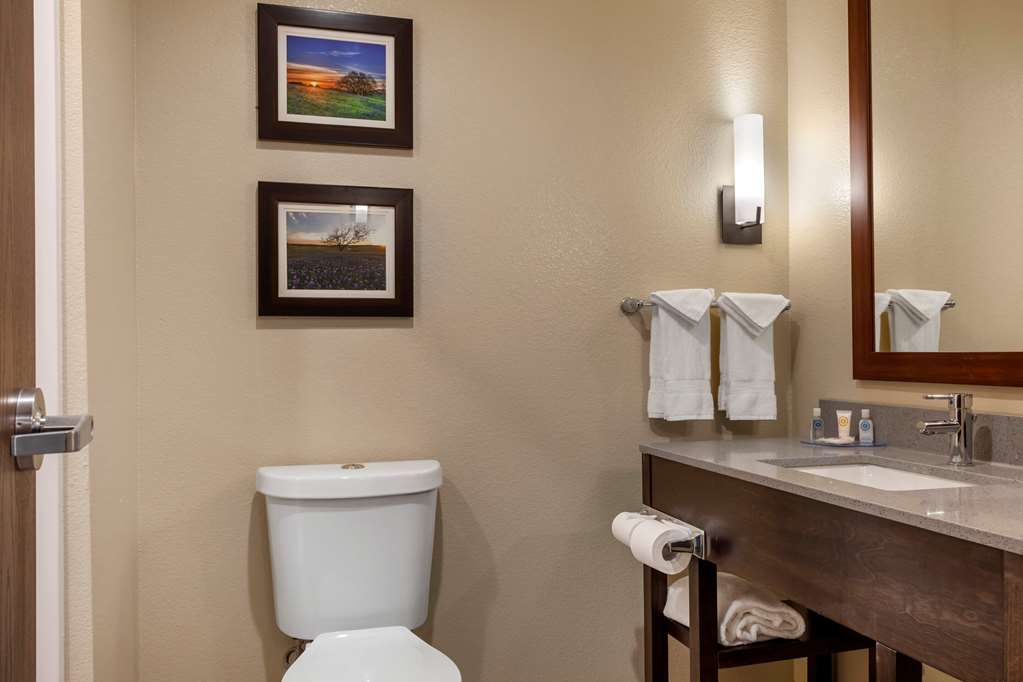 Comfort Inn & Suites Euless DFW West - photo 9