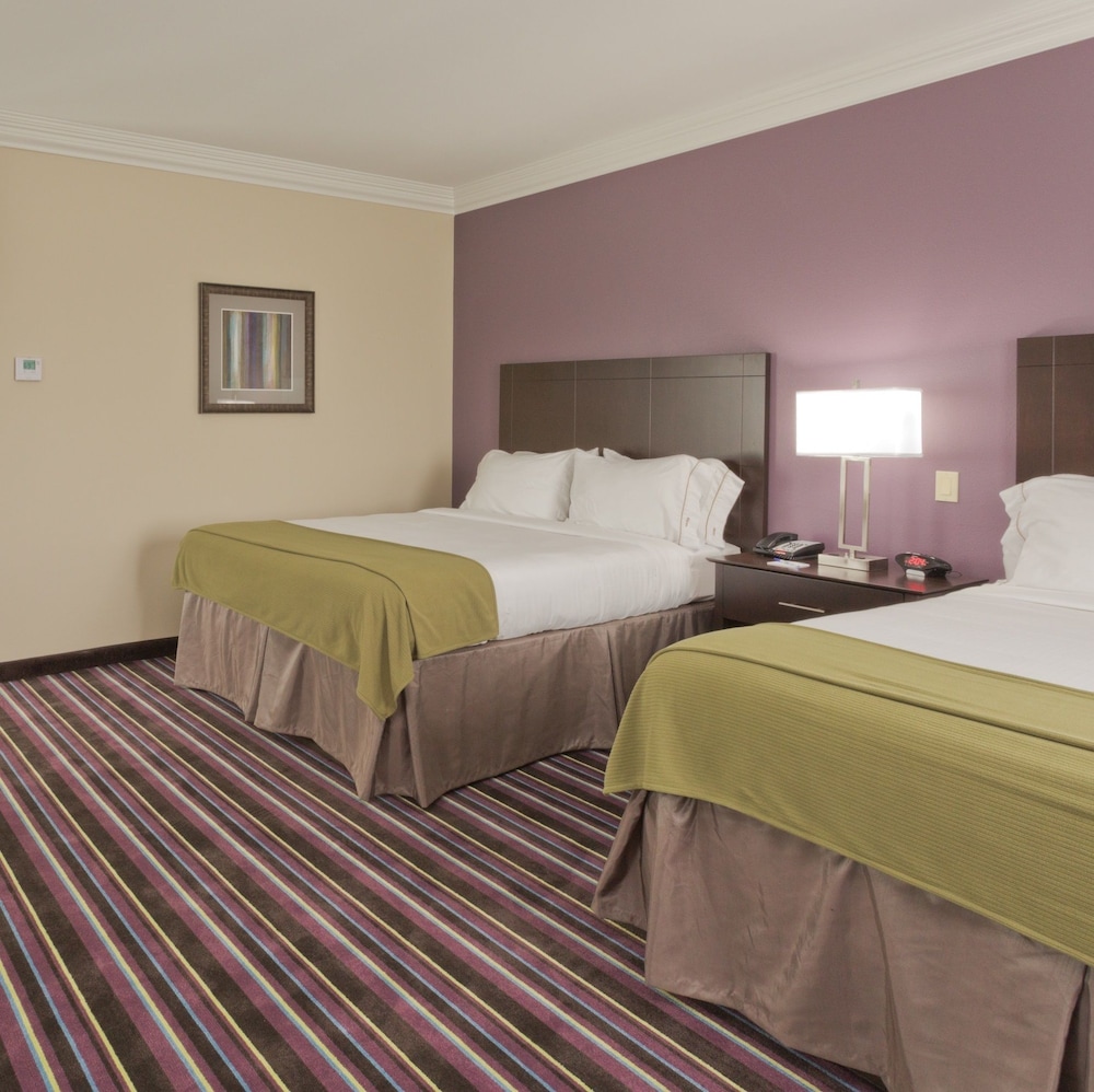 Holiday Inn Express Hotel & Suites Raceland Highway 90 by IHG - photo 3