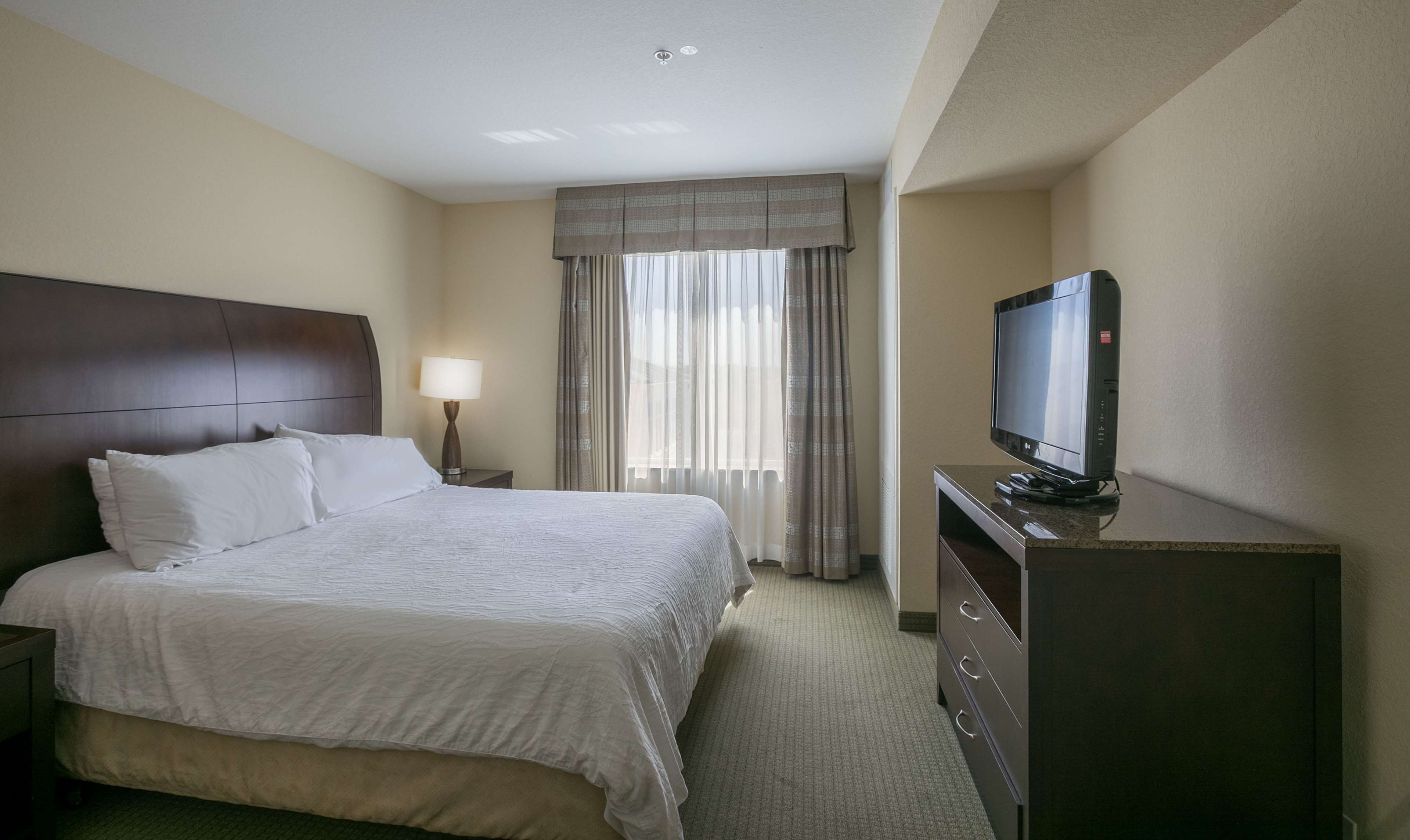 Hilton Garden Inn Lakeland - photo 29