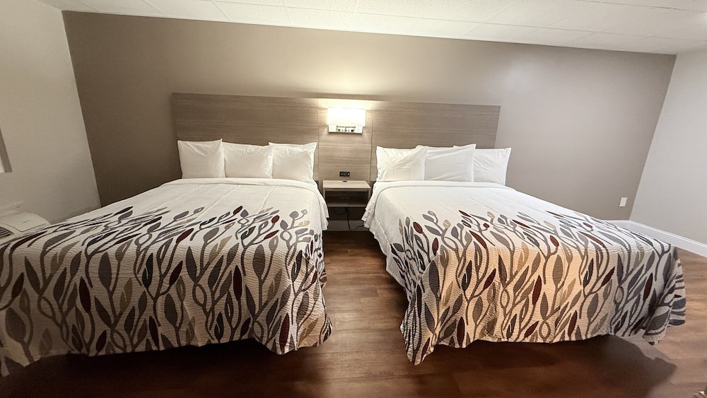 Red Roof Inn & Suites Swansea - photo 9