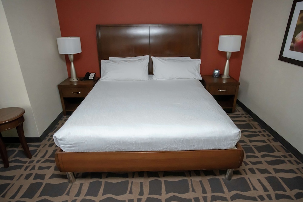Hilton Garden Inn Dayton South Austin Landing - photo 6