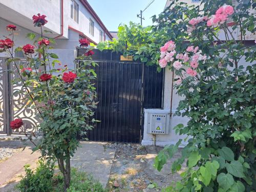 Emyra’s holiday rooms in Constanta, Romania