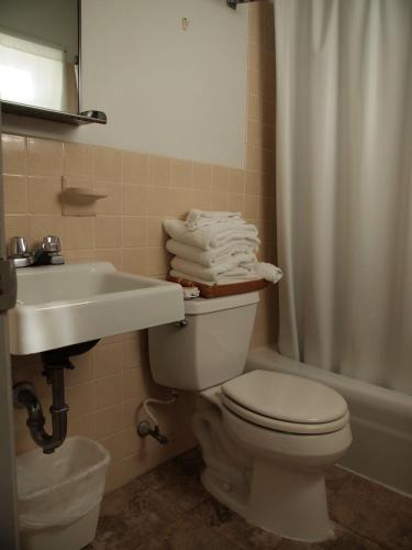 Suitcase Motel & Travel - photo 3