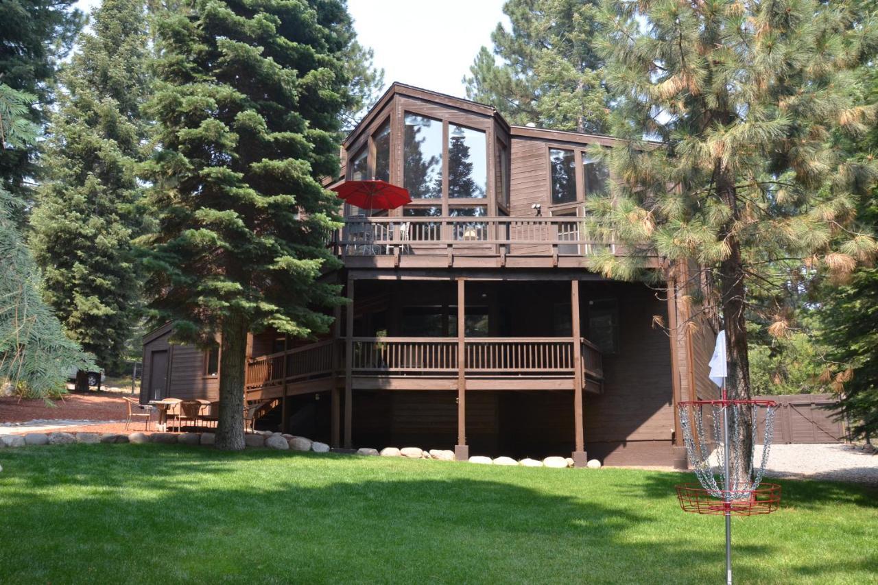 A Slice of Silver Fir in Truckee, United States