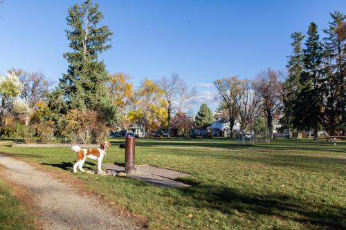 Western Heritage Inn of Bozeman - photo 7