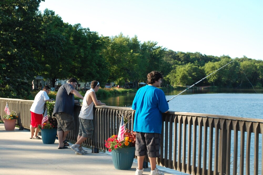 O'Connell's Yogi Bear Park - photo 23