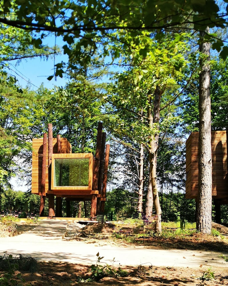 Treeloft Adventure in Nature for 4 People 7