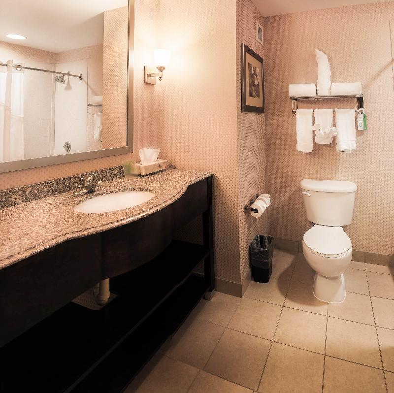 Holiday Inn Express Baltimore Downtown - photo 44