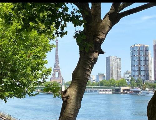 Paris Tour Eiffel Mirabeau - last minute hotel in Paris