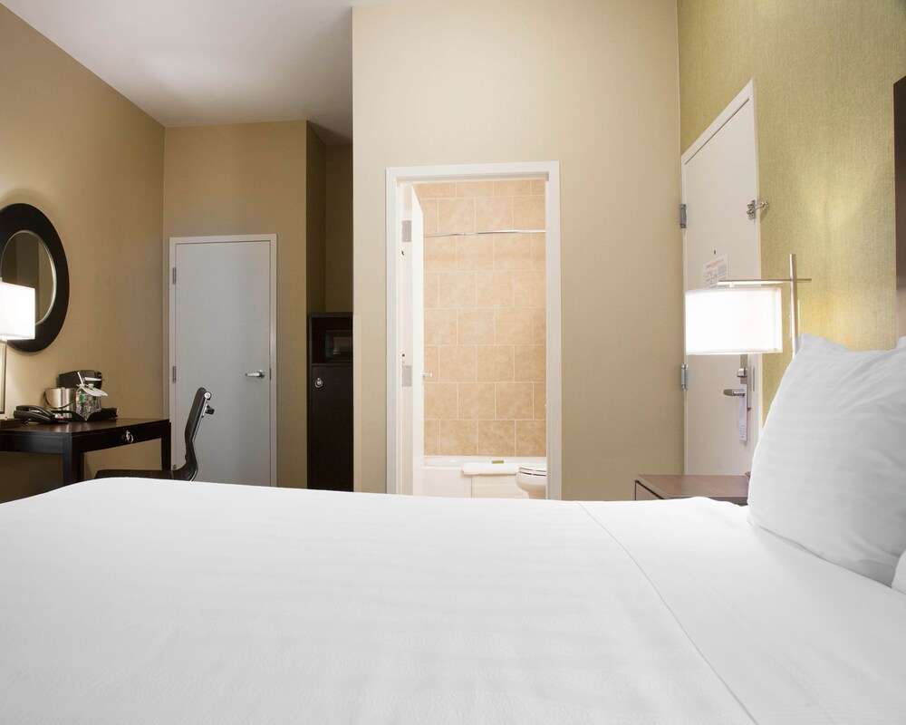 EnVision Hotel Boston - photo 6