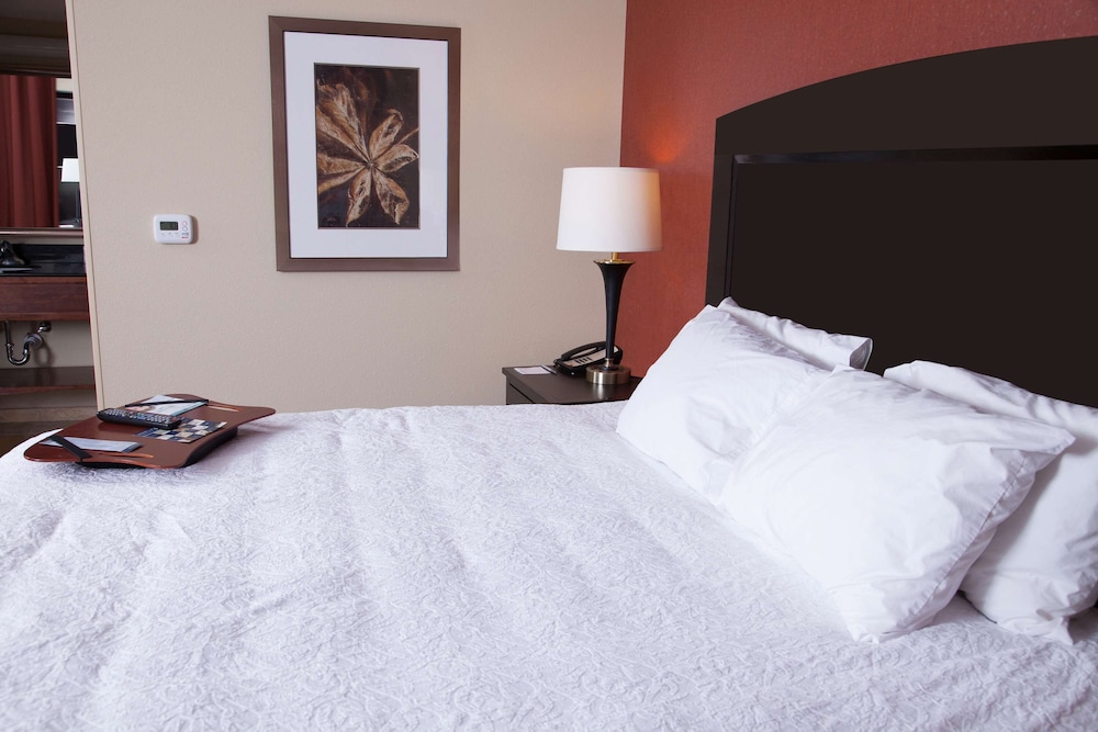 Hampton Inn & Suites Dickinson - photo 28