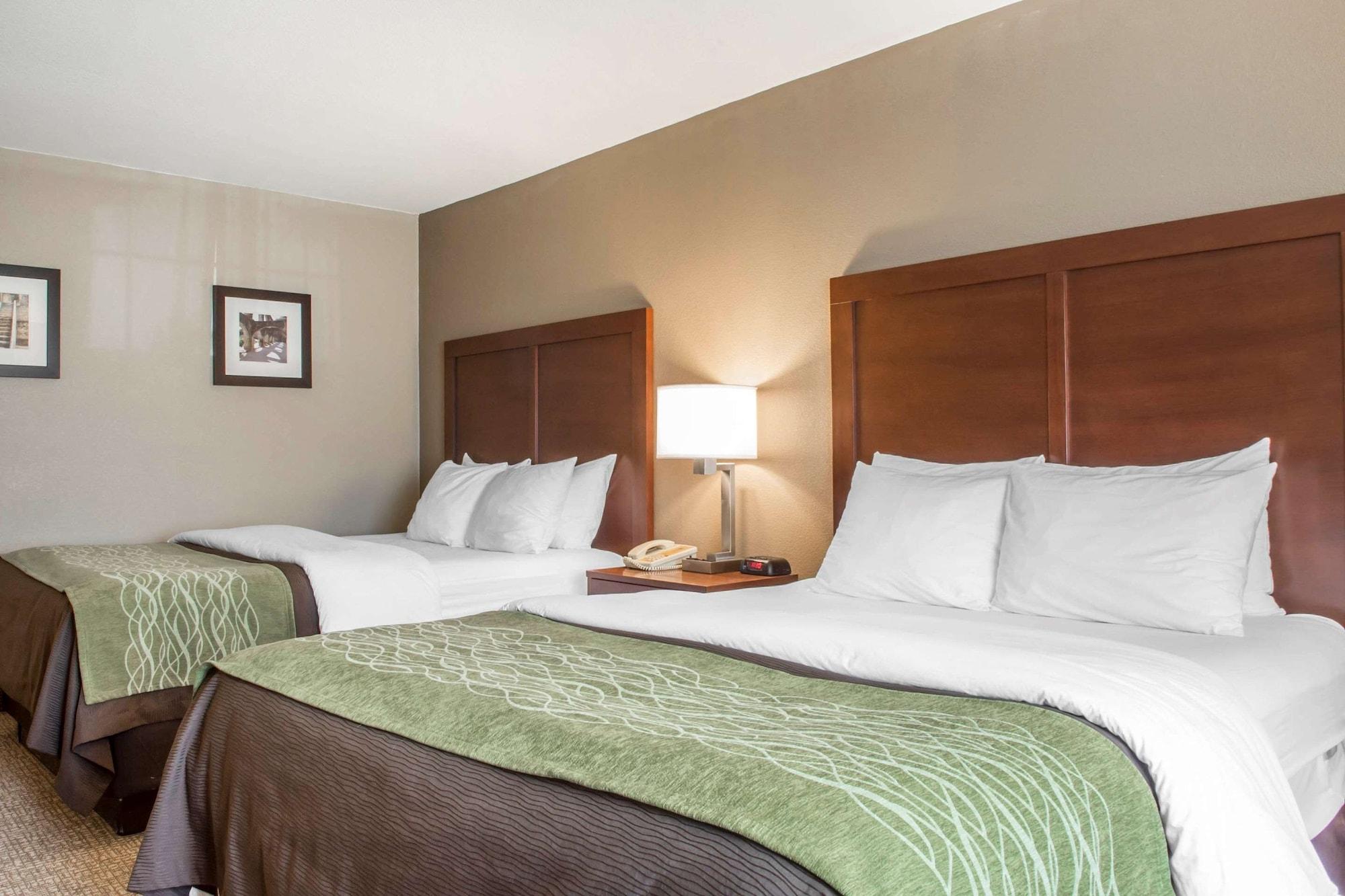 Comfort Inn Edinburg South - photo 21