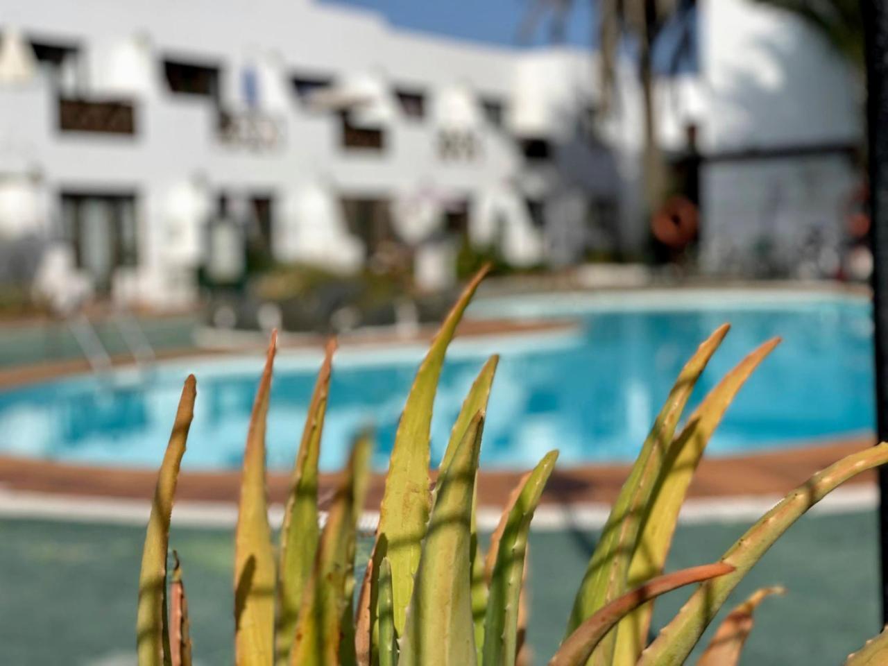 21 Ineika Corralejo Irent Fuerteventura in Corralejo, Spain