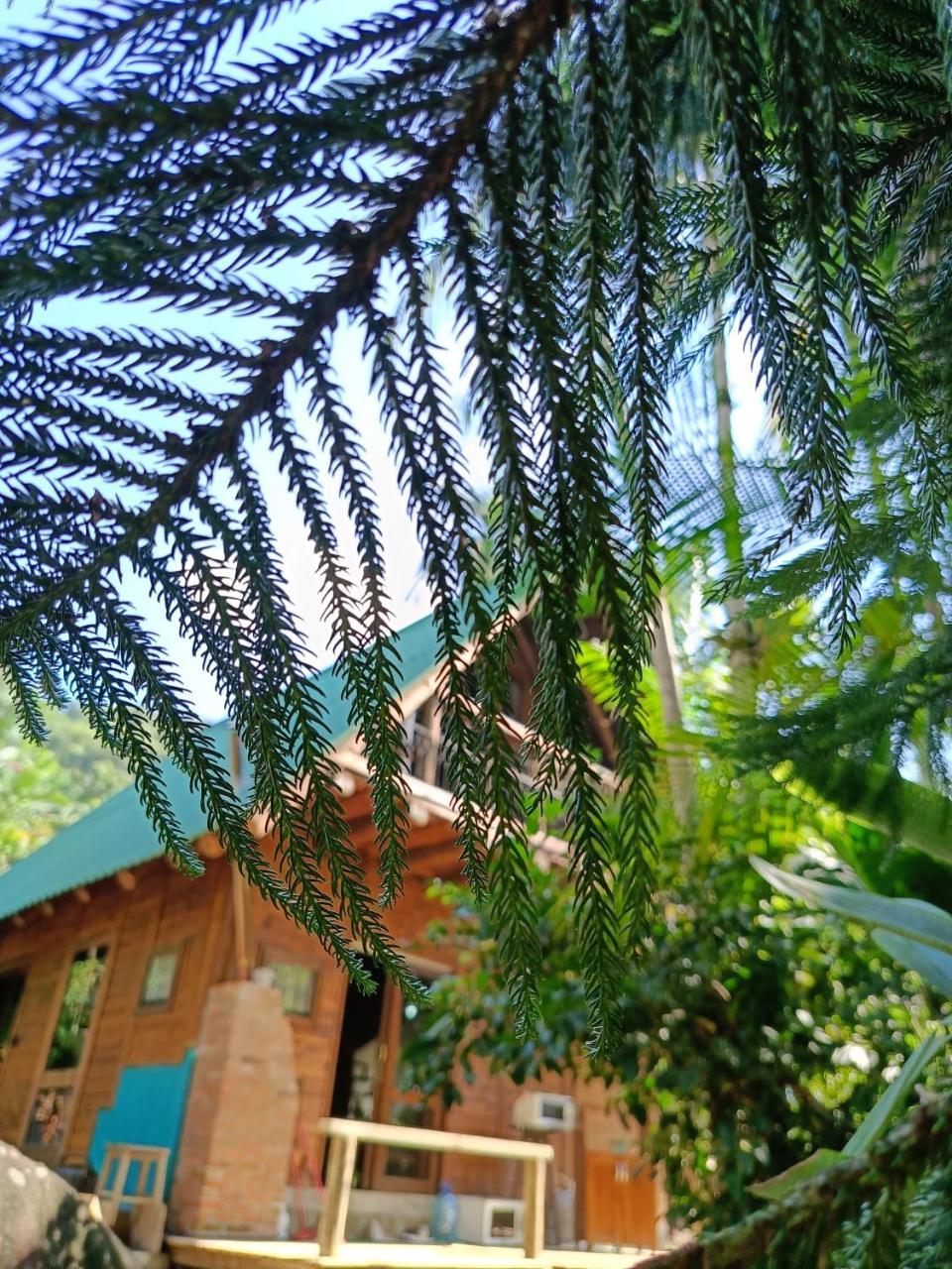 Chalé Graciosa — Rodeio — photo 4