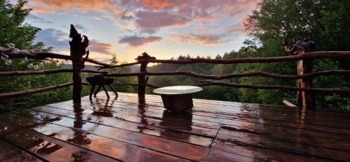 Sleepy Creek Hot Tub Pet Friendly Creekside Grill Wifi Fire Pit Deck Screen Porch Family Friendly Fishing View Games — Berkeley Springs