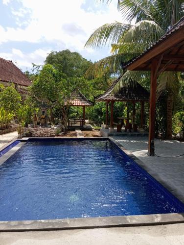 Citronella — Klungkung — photo 4