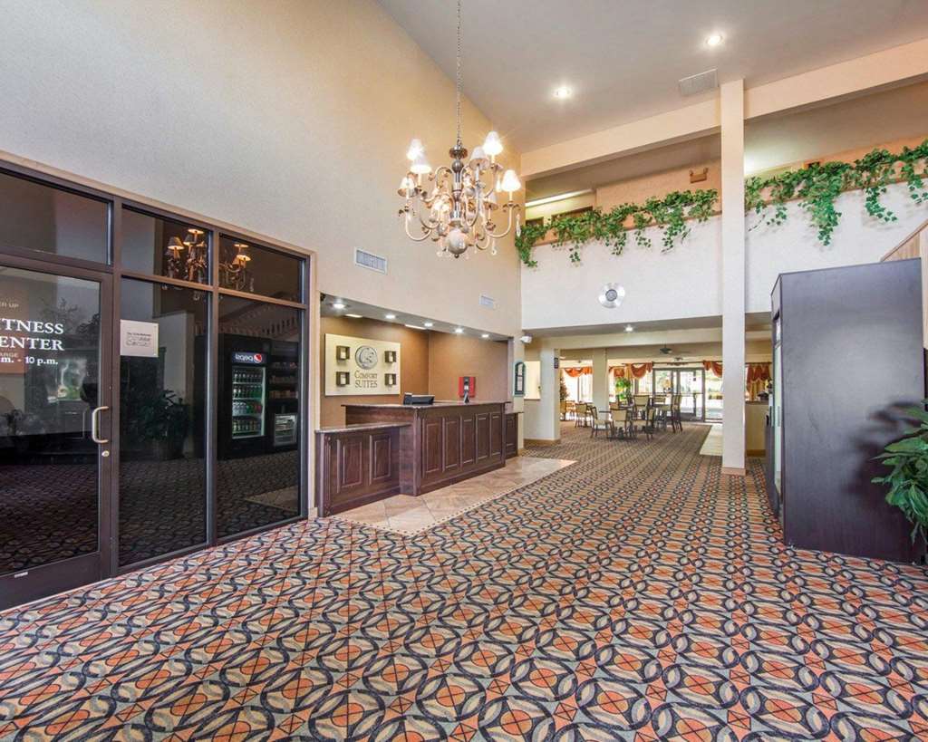Comfort Suites London South - photo 9