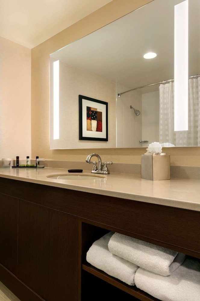 Embassy Suites by Hilton Chicago North Shore Deerfield - photo 38