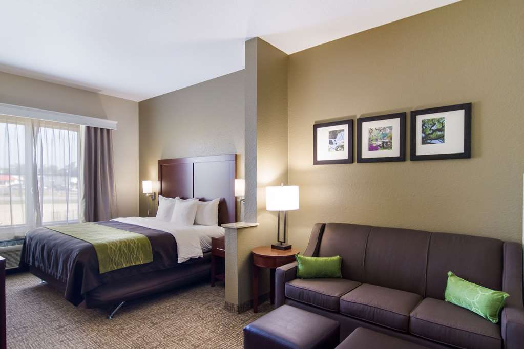 Comfort Inn Blackshear Hwy 84 - photo 24
