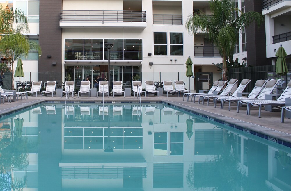 Downtown Cosmopolitan Suites - photo 65