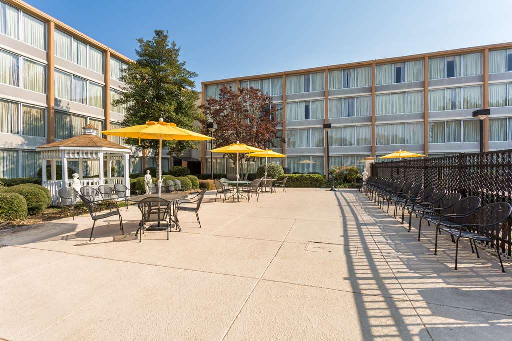 Wyndham Garden Greensboro - photo 28