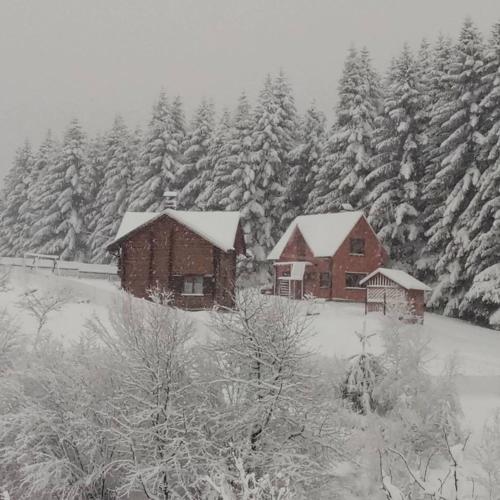 Sadyba Drymba — Skhidnytsya — photo 2