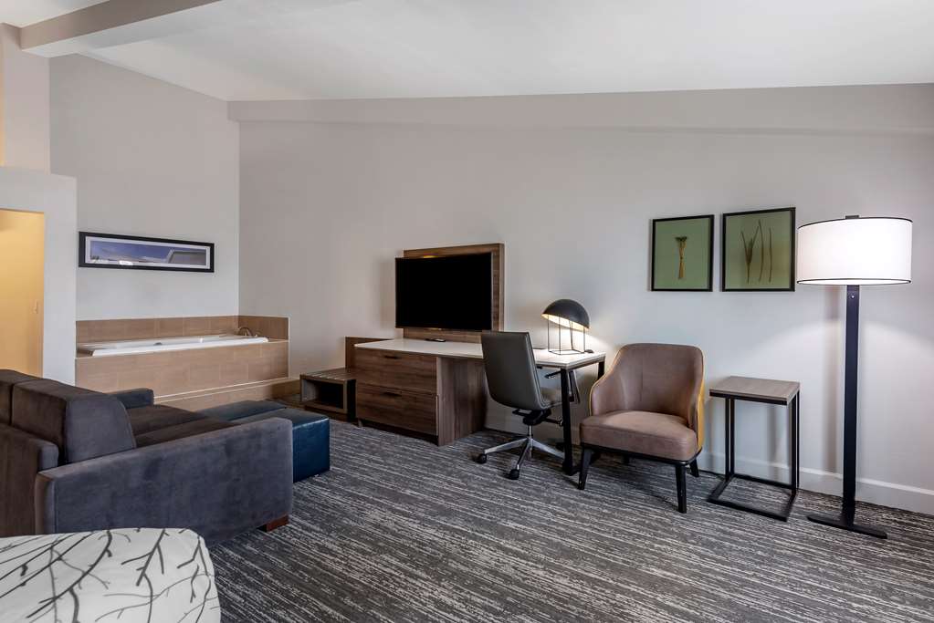 Best Western Premier Denver East - photo 19