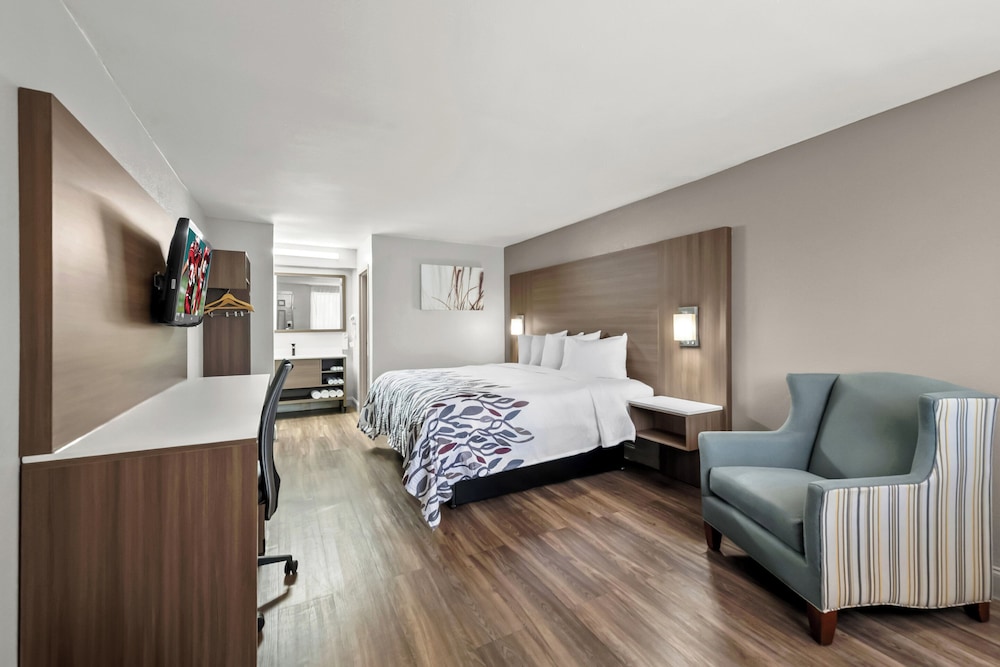 Red Roof Inn Sanford - photo 15