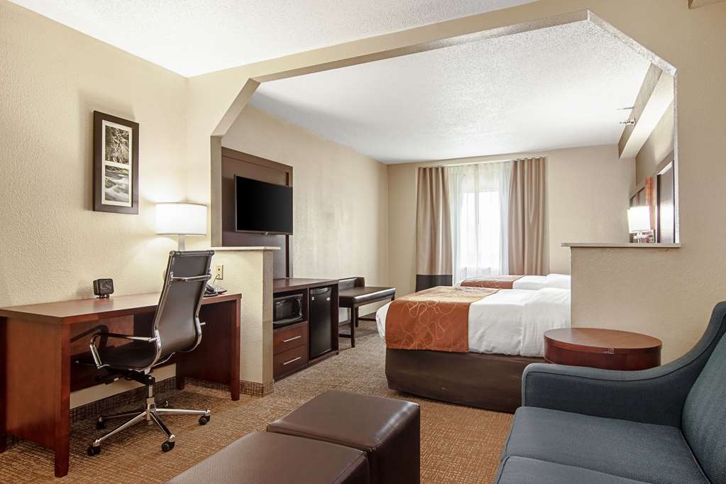 Comfort Suites Knoxville Airport - photo 25