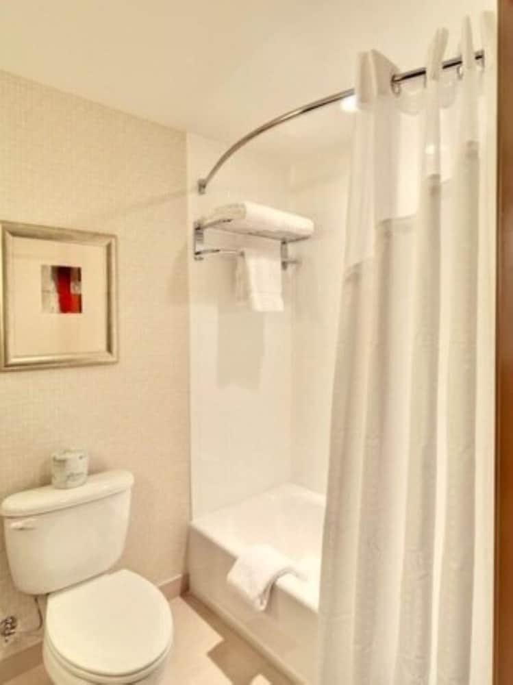 Holiday Inn Downtown Mercy Area by IHG - photo 12
