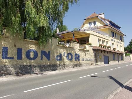 Villa Hotel du Lion d'Or — hotel in Langres