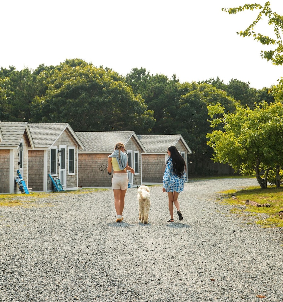 Prince of Whales in Truro, United States