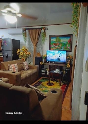 Sunflower - carbon neutral hotel in Puerto Jimenez